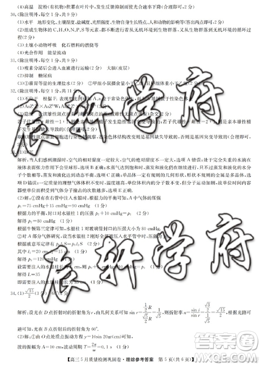 2019年九師聯(lián)盟高三5月質(zhì)量檢測鞏固卷理綜試題及答案