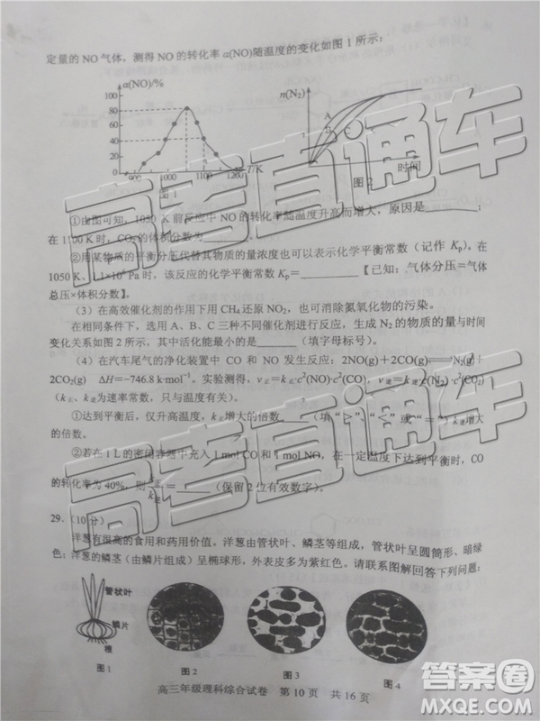 2019年武漢五月第二次調(diào)研考試理綜試題及答案