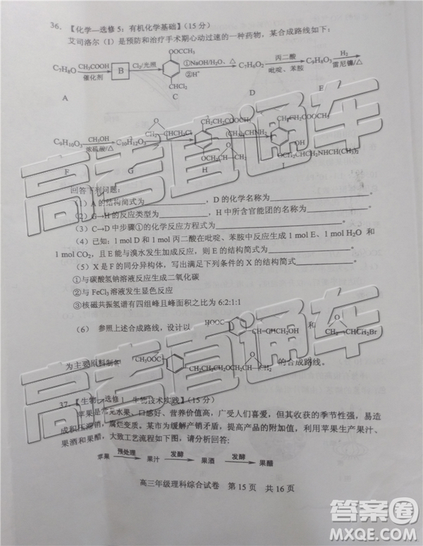 2019年武漢五月第二次調(diào)研考試理綜試題及答案