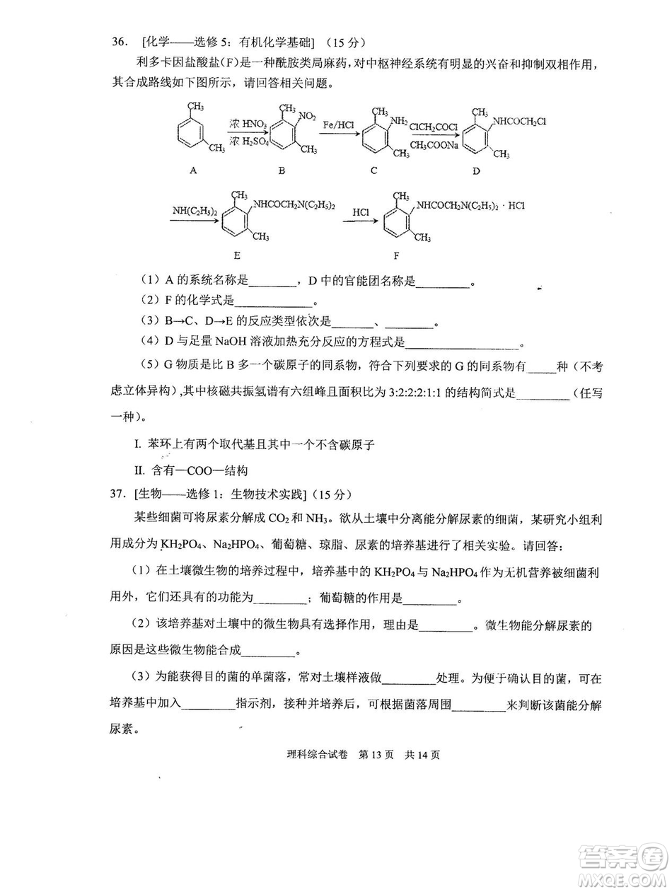 2019年河南省八市重點(diǎn)高中聯(lián)盟領(lǐng)軍考試第五次測評文理綜試題及答案