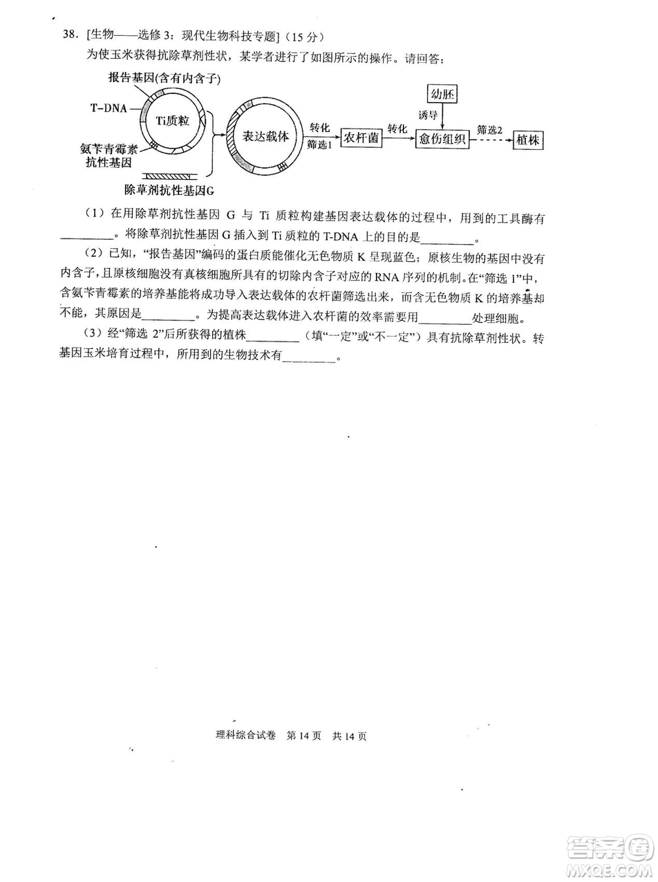 2019年河南省八市重點(diǎn)高中聯(lián)盟領(lǐng)軍考試第五次測評文理綜試題及答案