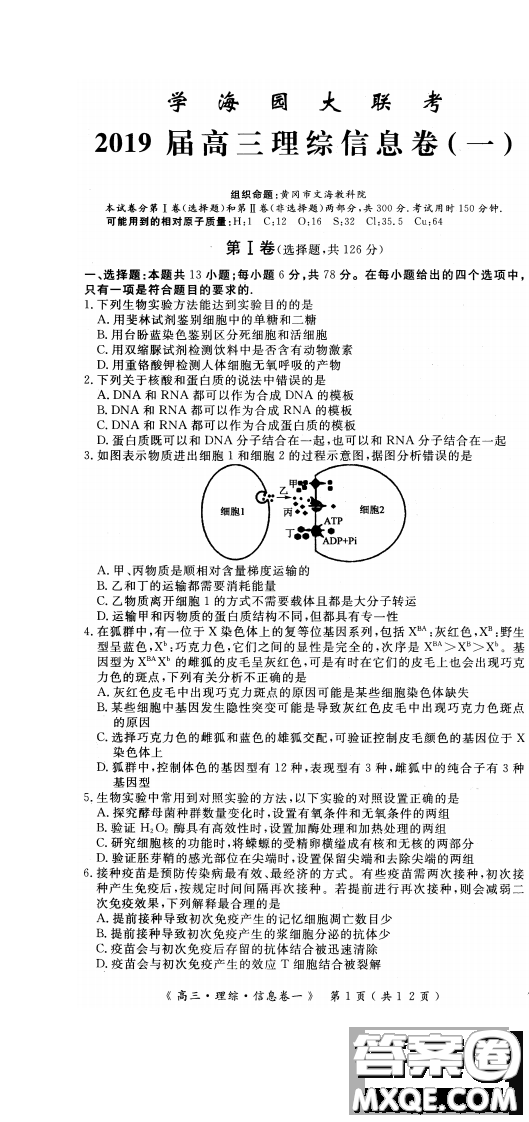 2019年學(xué)海園大聯(lián)考信息卷一理綜試題及答案