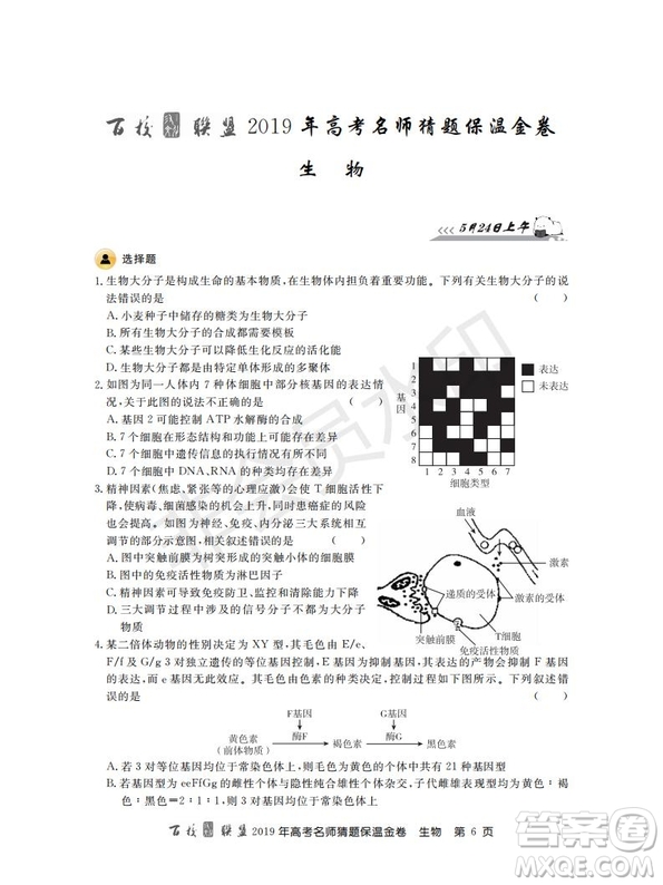 百校聯(lián)盟2019年高考名師猜題保溫金卷生物試題及參考答案