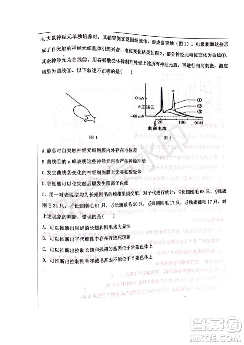 河北省衡水中學(xué)2019屆高三下學(xué)期六調(diào)考試文理綜試題及答案