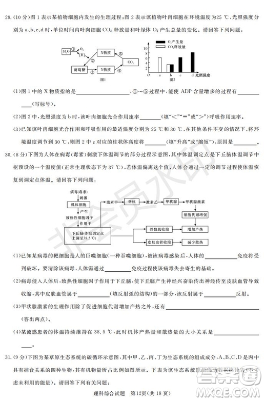 2019年湖南省長沙一中師大附中雅禮中學(xué)長郡中學(xué)五月聯(lián)考理綜試卷答案