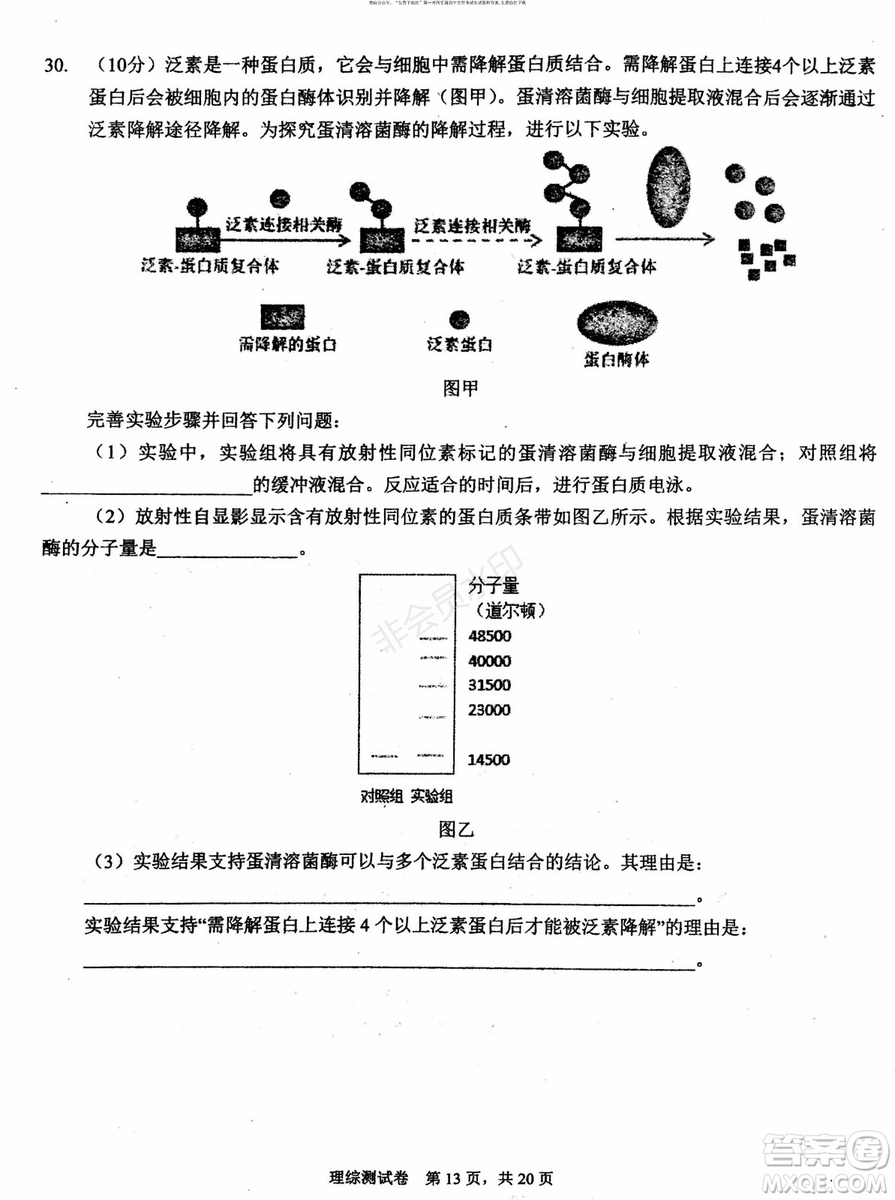 2019年贏鼎教育高考終極預(yù)測(cè)卷全國(guó)I卷理科綜合試題及答案