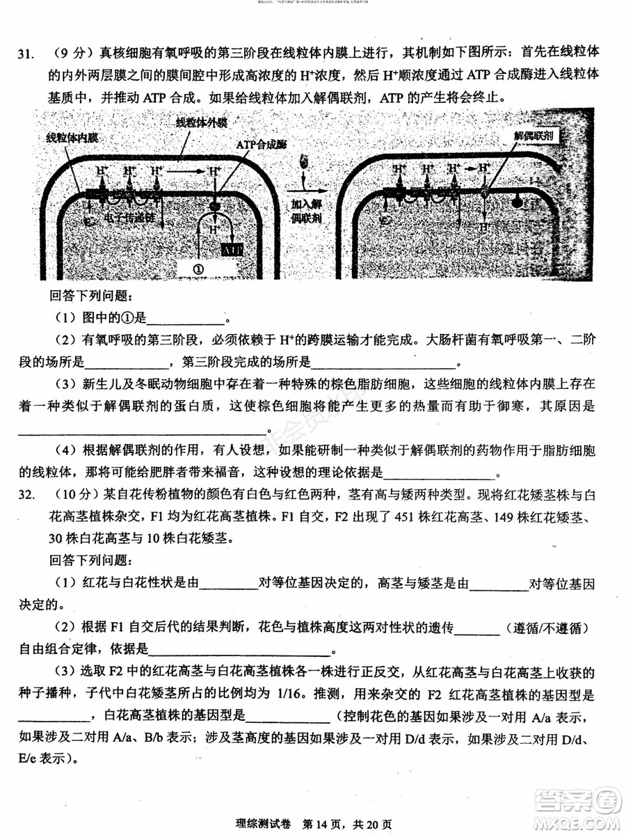 2019年贏鼎教育高考終極預(yù)測(cè)卷全國(guó)I卷理科綜合試題及答案