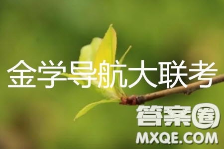 2019年金學(xué)導(dǎo)航大聯(lián)考三英語試題及答案