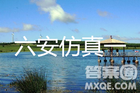 2019年安徽省六安一中高考仿真訓(xùn)練一文理數(shù)試題及答案