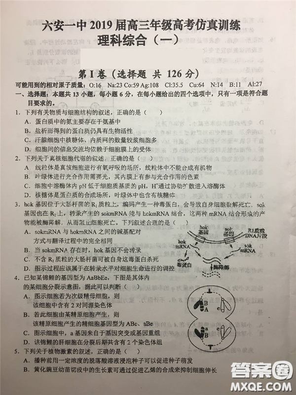 2019年安徽省六安一中高考仿真訓(xùn)練一文理綜試題及答案