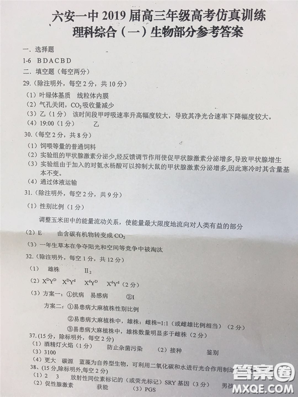 2019年安徽省六安一中高考仿真訓(xùn)練一文理綜試題及答案