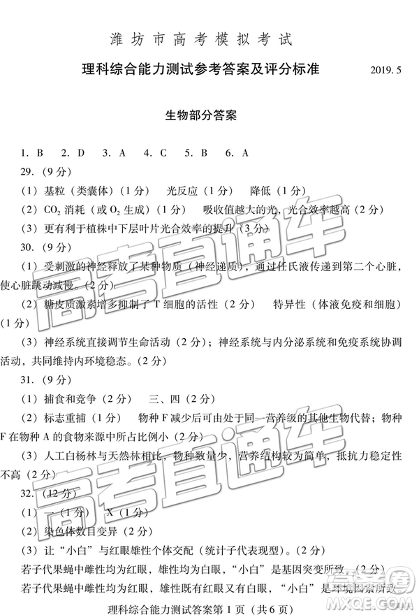 2019年濰坊菏澤三模理綜試題及參考答案