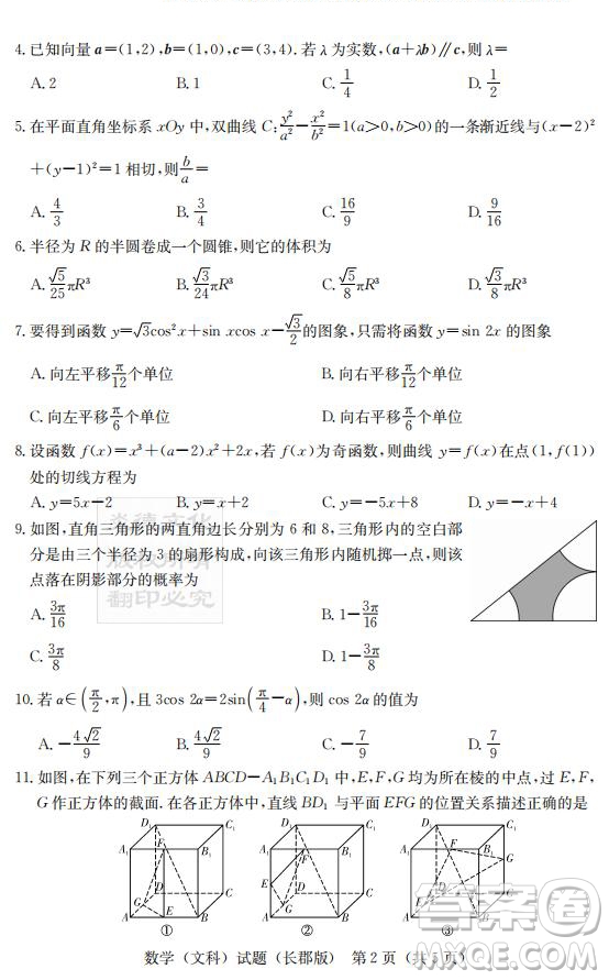 炎德英才大聯(lián)考長郡中學(xué)2019屆高考模擬卷二文數(shù)試題及答案