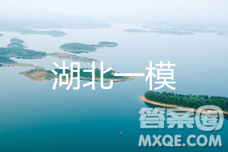 2019年湖北省高三招生全國統(tǒng)一考試模擬試題卷一理數(shù)答案