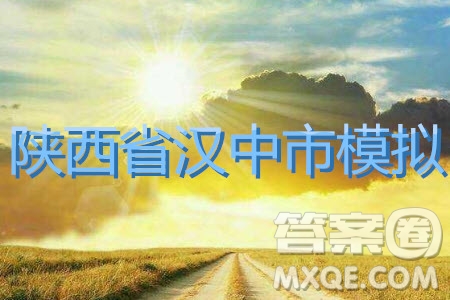 陜西省漢中市2019屆高三全真模擬考試英語試題及答案