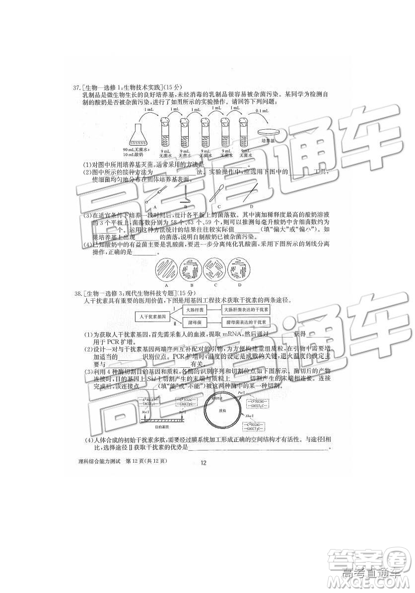 2019年合肥一中沖刺高考最后一卷理綜參考答案