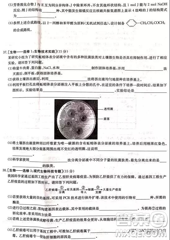 2019年河南省名校聯(lián)盟沖刺壓軸卷五理綜試題及答案