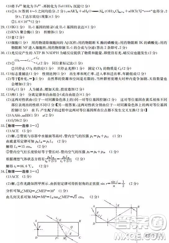 2019年河南省名校聯(lián)盟沖刺壓軸卷五理綜試題及答案