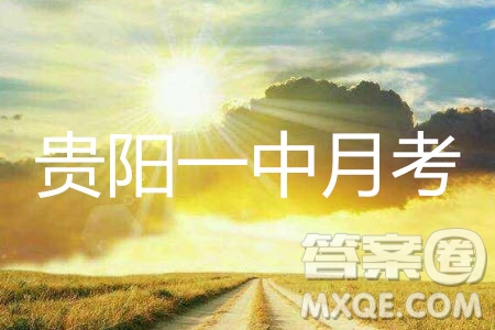 2019年貴陽一中第八次月考理數(shù)參考答案