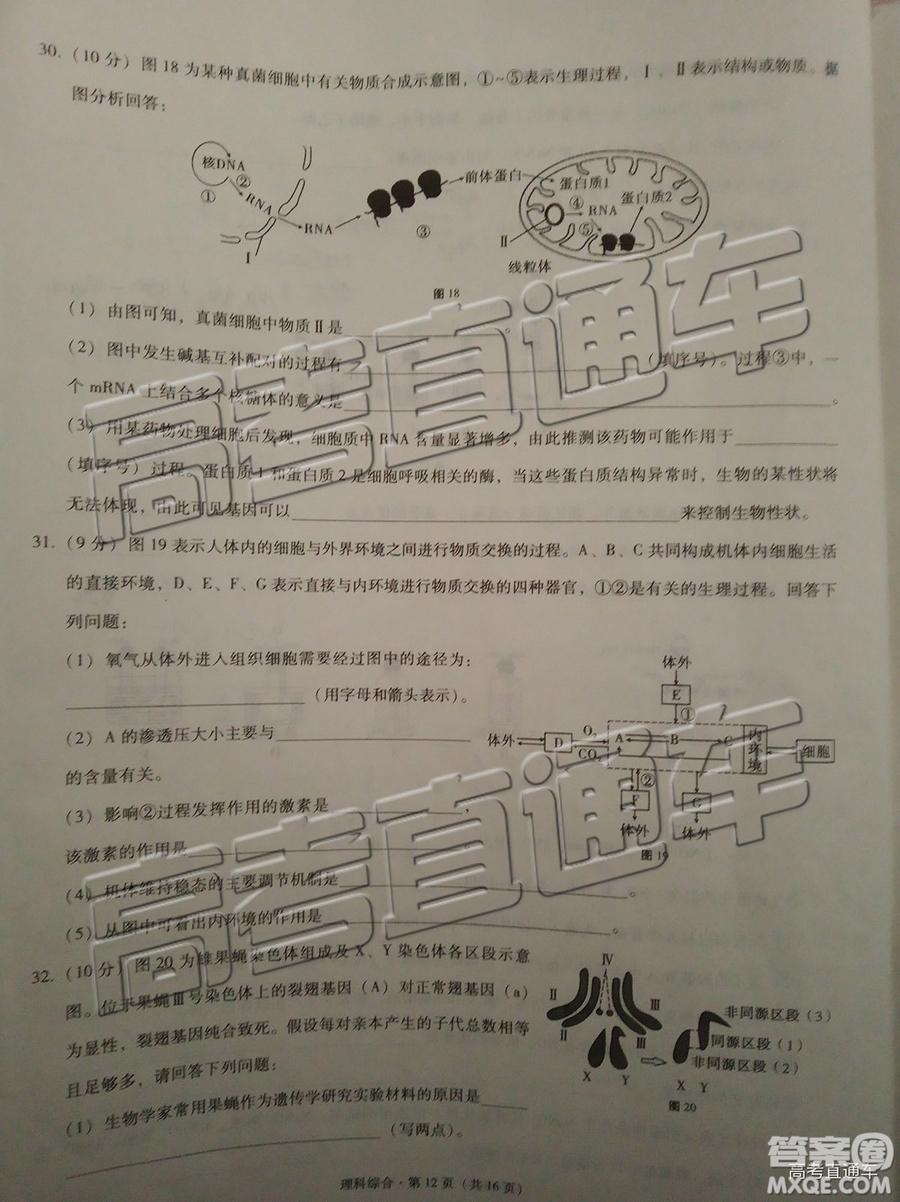 2019昆十中云天化中學聯(lián)合質量檢測七理綜試題及參考答案