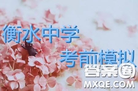 2019年衡水中學(xué)高三考前模擬卷文理數(shù)試題及參考答案