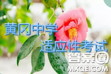 湖北省黃岡中學(xué)2019屆高三適應(yīng)性考試語文試題及參考答案