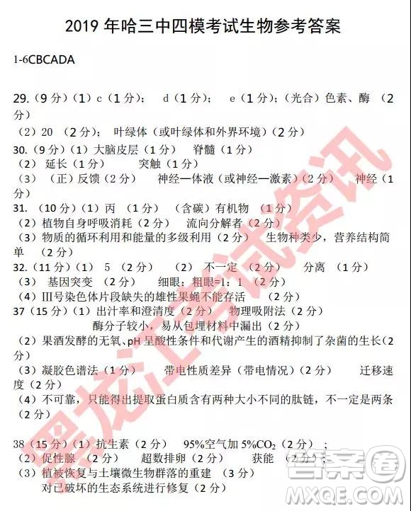 2019年哈三中四模理綜試題及參考答案