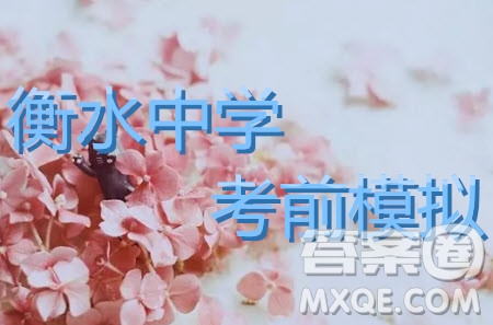 2019年衡水中學(xué)終極押題卷英語試題及答案