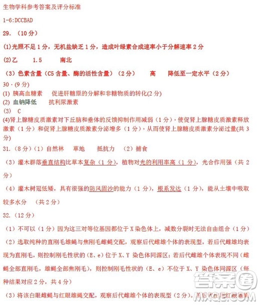 2019河北衡水中學(xué)高考前最后一次模擬理綜試題及答案