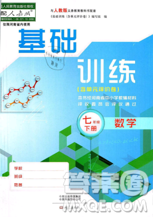 2019年基礎(chǔ)訓(xùn)練七年級(jí)數(shù)學(xué)下冊(cè)人教版大象出版社答案