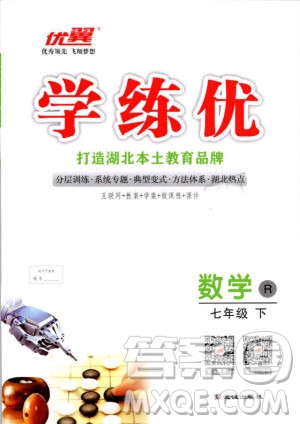 2019年優(yōu)翼叢書學(xué)練優(yōu)初中數(shù)學(xué)七年級(jí)下RJ人教版武漢專版參考答案