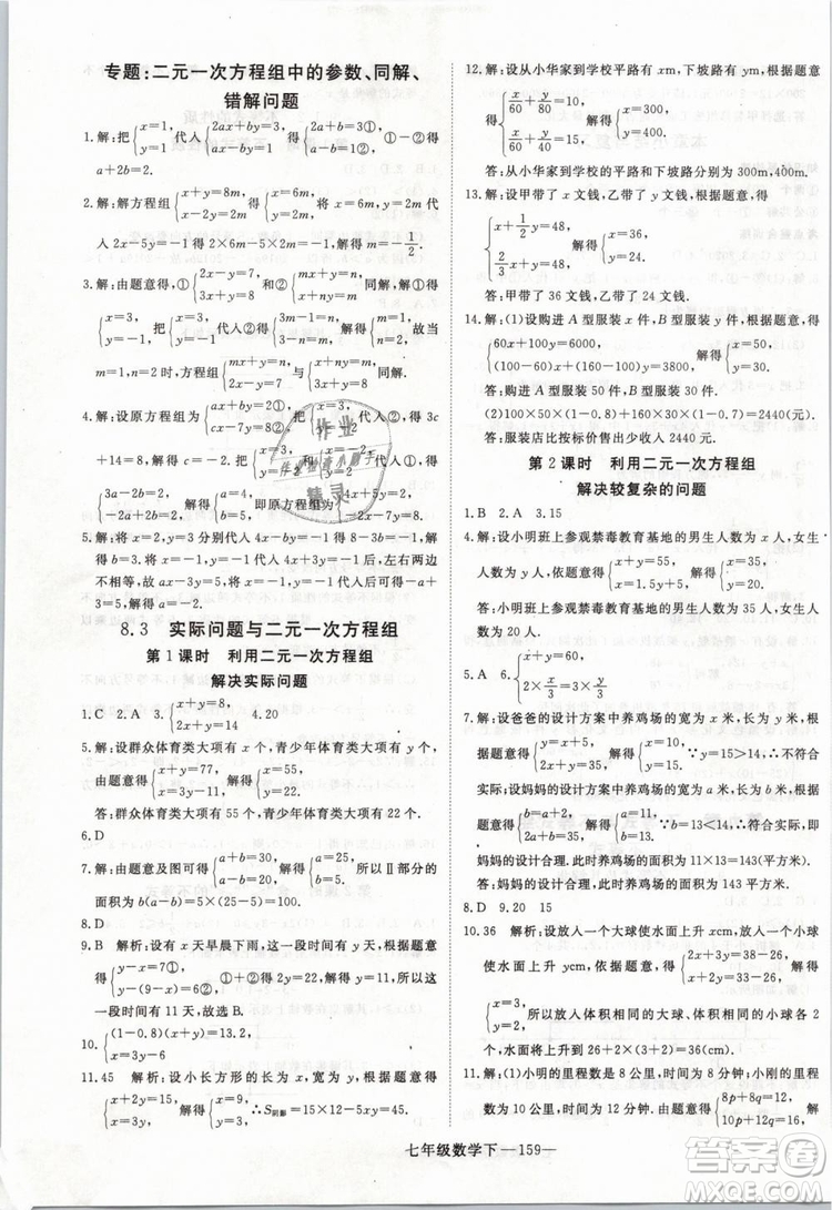 2019年優(yōu)翼叢書學(xué)練優(yōu)初中數(shù)學(xué)七年級(jí)下RJ人教版武漢專版參考答案