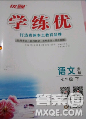 2019年優(yōu)翼學練優(yōu)學科思維訓練法七年級語文下冊RJ人教版貴州專版參考答案