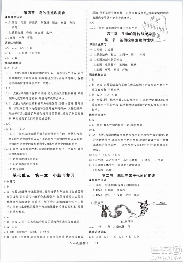 2019年優(yōu)翼學練優(yōu)學科思維訓練法八年級生物下冊RJ人教版參考答案