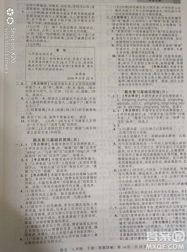 2019年王朝霞期末真題精編八年級語文下冊人教版參考答案