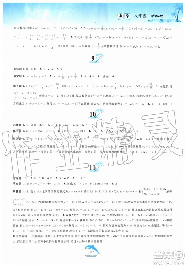 黃山書社2019版暑假作業(yè)八年級(jí)數(shù)學(xué)滬科版參考答案