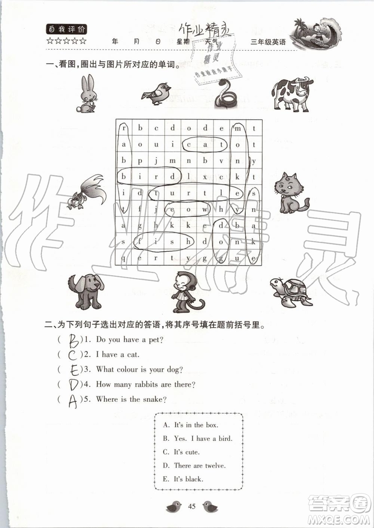 北京教育出版社2019版三年級(jí)湘魯版英語(yǔ)暑假樂(lè)園河南專用參考答案