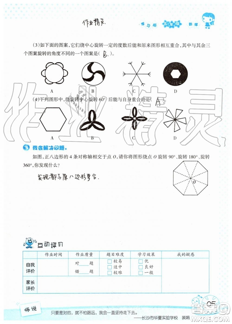 暑假學(xué)習(xí)與生活2019年假日知新五年級(jí)數(shù)學(xué)參考答案