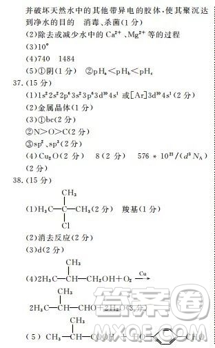 河北衡水中學(xué)2020屆新高三聯(lián)考卷一調(diào)理綜參考答案