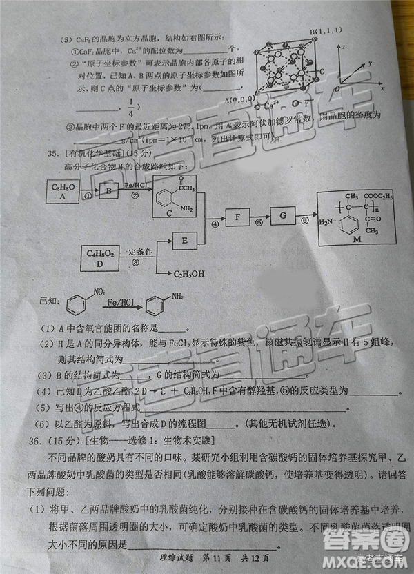 2020屆惠州一調(diào)理綜試卷及答案