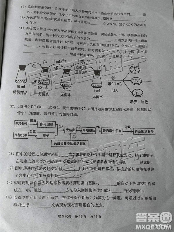 2020屆惠州一調(diào)理綜試卷及答案