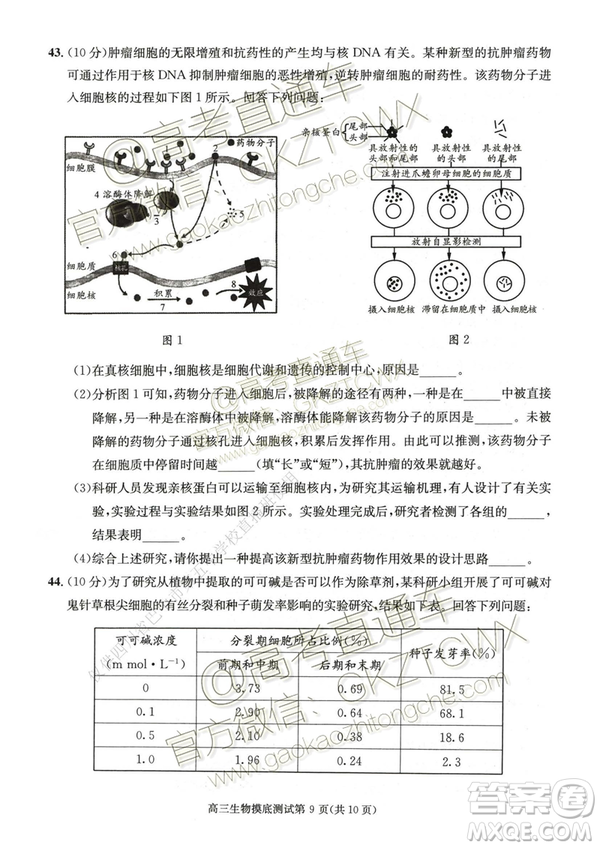 2020屆成都零診生物試卷及答案