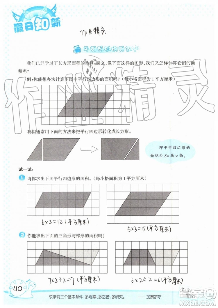 暑假學習與生活2019年假日知新四年級數(shù)學學習版生活版參考答案