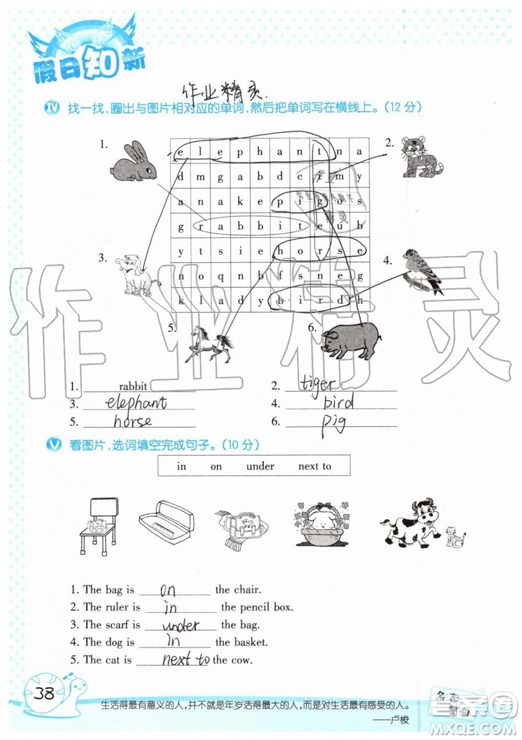 暑假學習與生活2019年假日知新四年級英語學習版參考答案