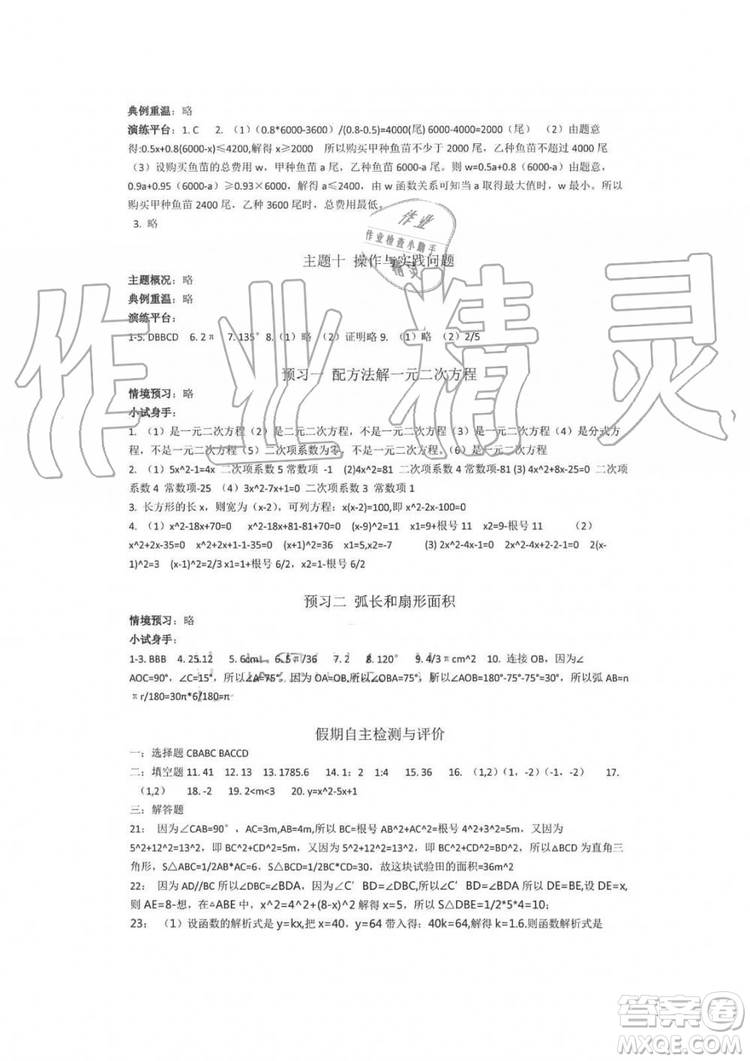 2019年假日知新八年級數(shù)學(xué)暑假篇學(xué)習(xí)版參考答案