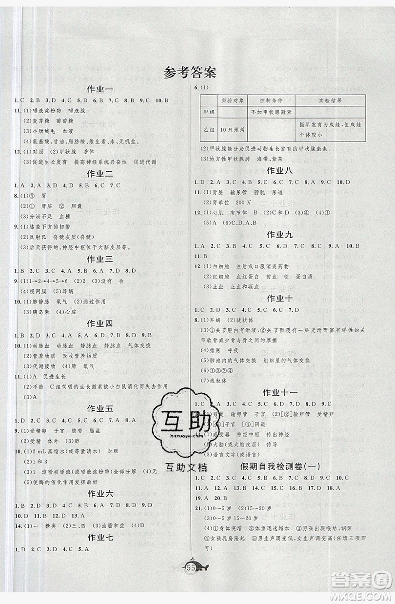 新疆美術攝影出版社2019績優(yōu)課堂快樂暑假七年級生物人教版答案