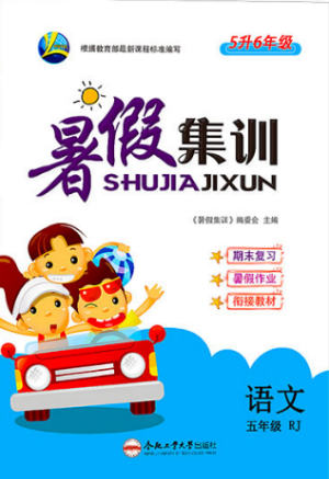 暑假集訓(xùn)2019年五年級人教版RJ語文期末復(fù)習(xí)暑假作業(yè)銜接教材答案