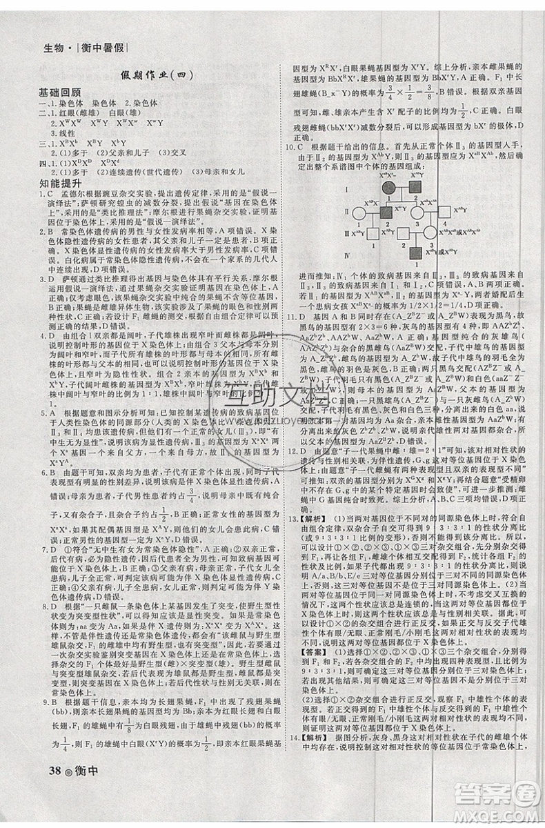 2019新版衡水金卷衡中假期暑假作業(yè)高一生物參考答案