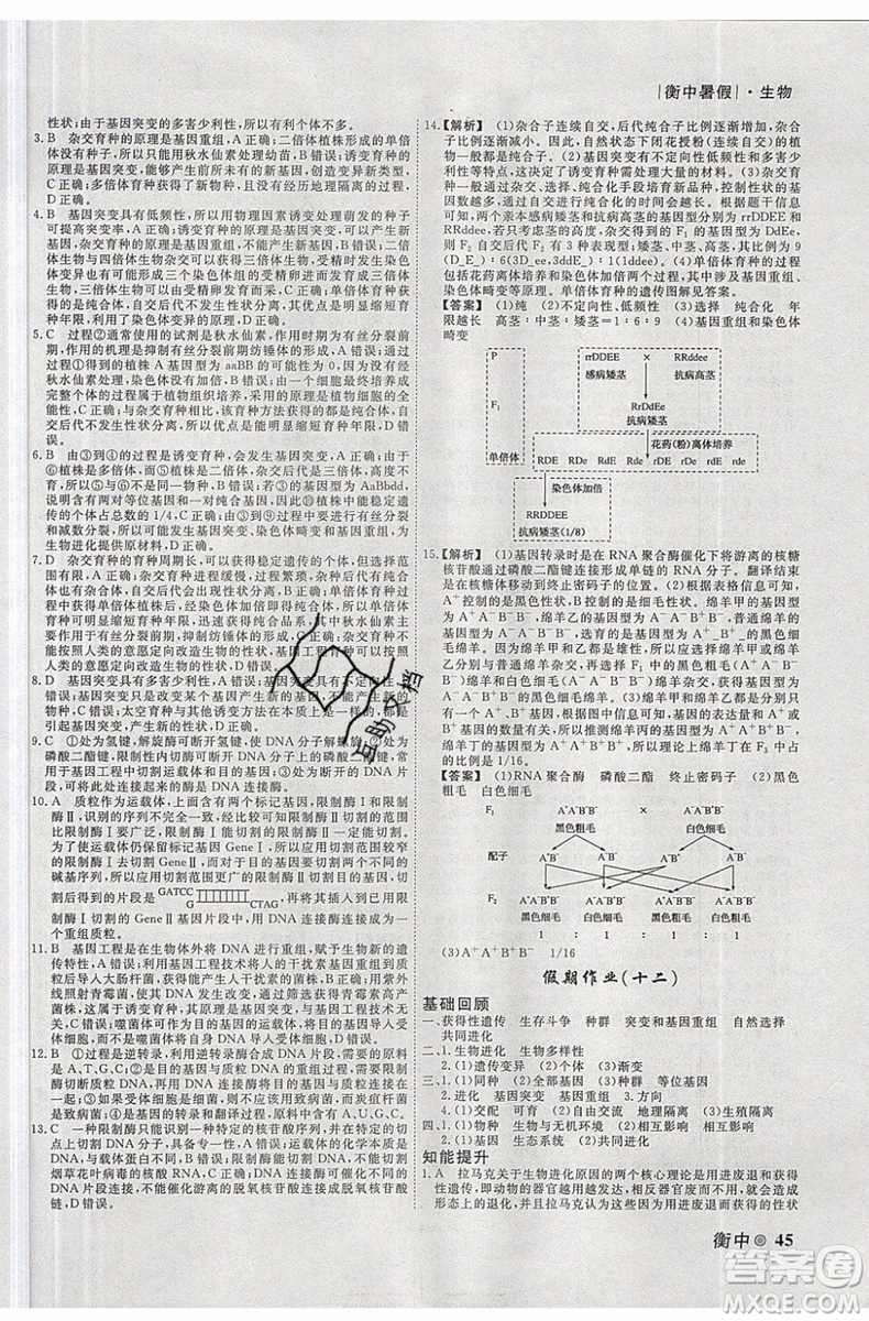 2019新版衡水金卷衡中假期暑假作業(yè)高一生物參考答案