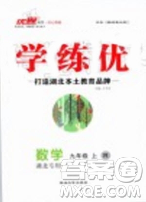 湖北專用2019秋優(yōu)翼叢書學(xué)練優(yōu)數(shù)學(xué)九年級(jí)上冊(cè)RJ人教版參考答案